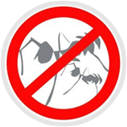 蟲(chóng)蟻治理