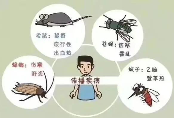 【沈陽(yáng)消殺公司】介紹“四害”是哪四個(gè)？