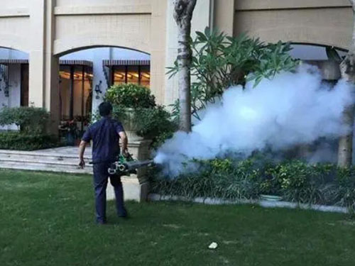 白蟻防治的一些方法分享