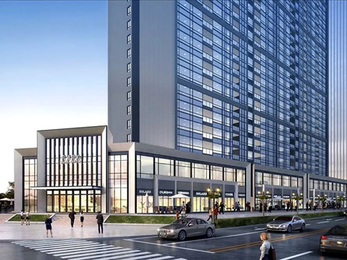 辦公樓滅鼠服務(wù)