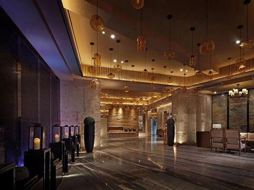 酒店會(huì)所滅鼠服務(wù)